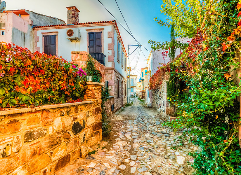 Günübirlik Kazdağları ve Cunda Adası Turu
