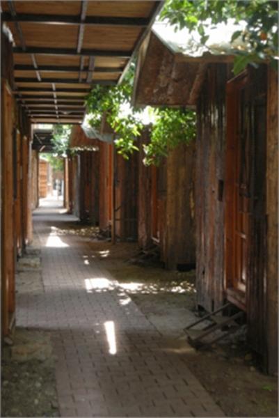 Olympos ve Kaş Kekova Turu
